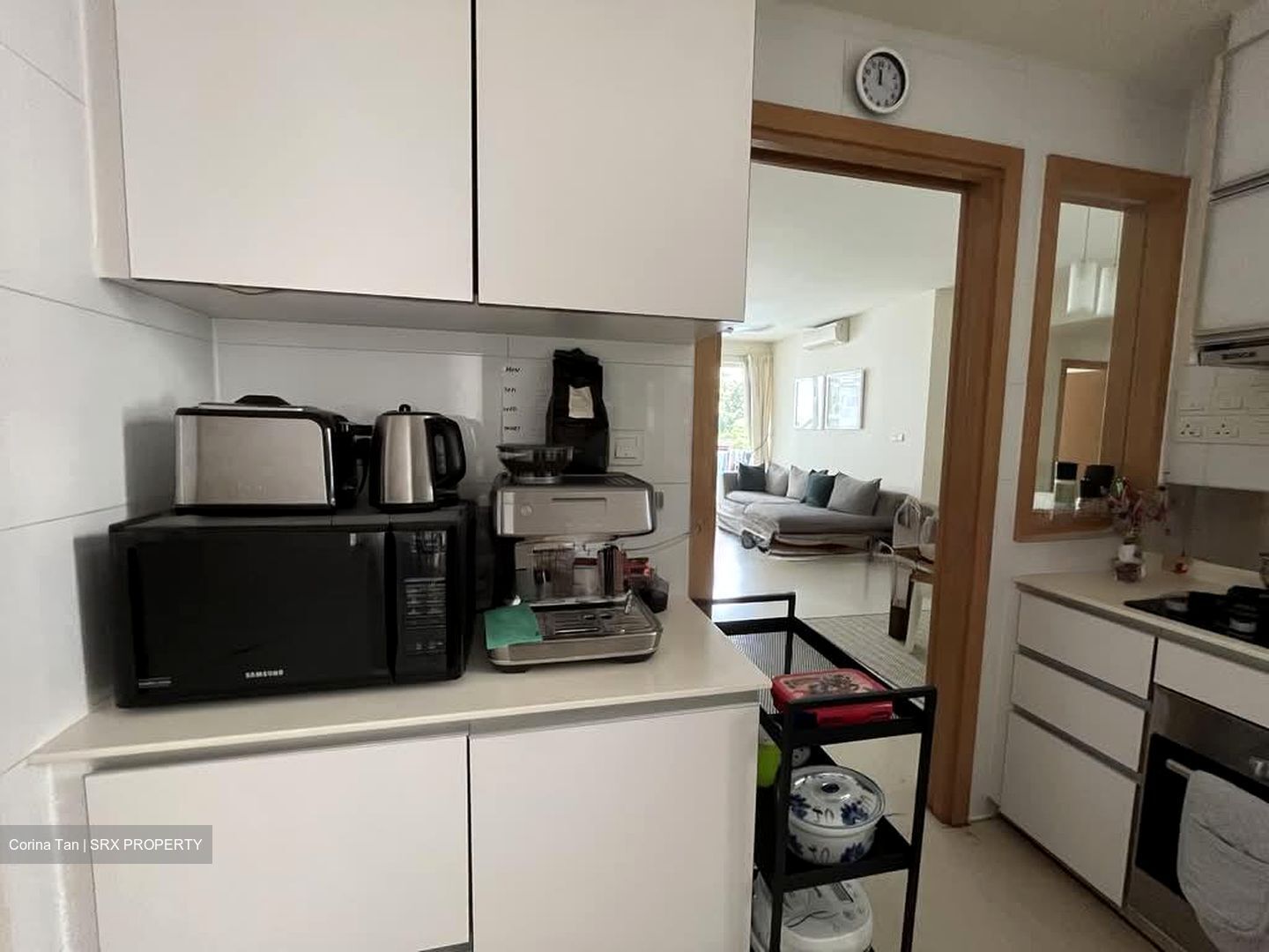 Parc Emily (D9), Condominium #545797901